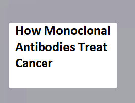 How Monoclonal Antibodies Treat Cancer